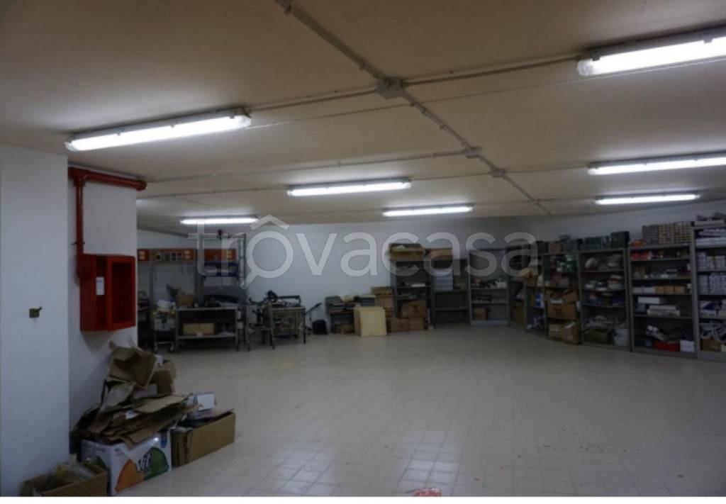 immagine annuncio 3 di 14