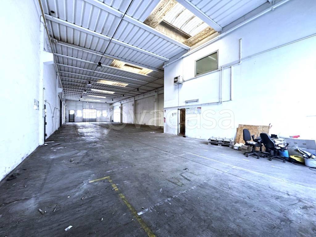 immagine annuncio 2 di 8