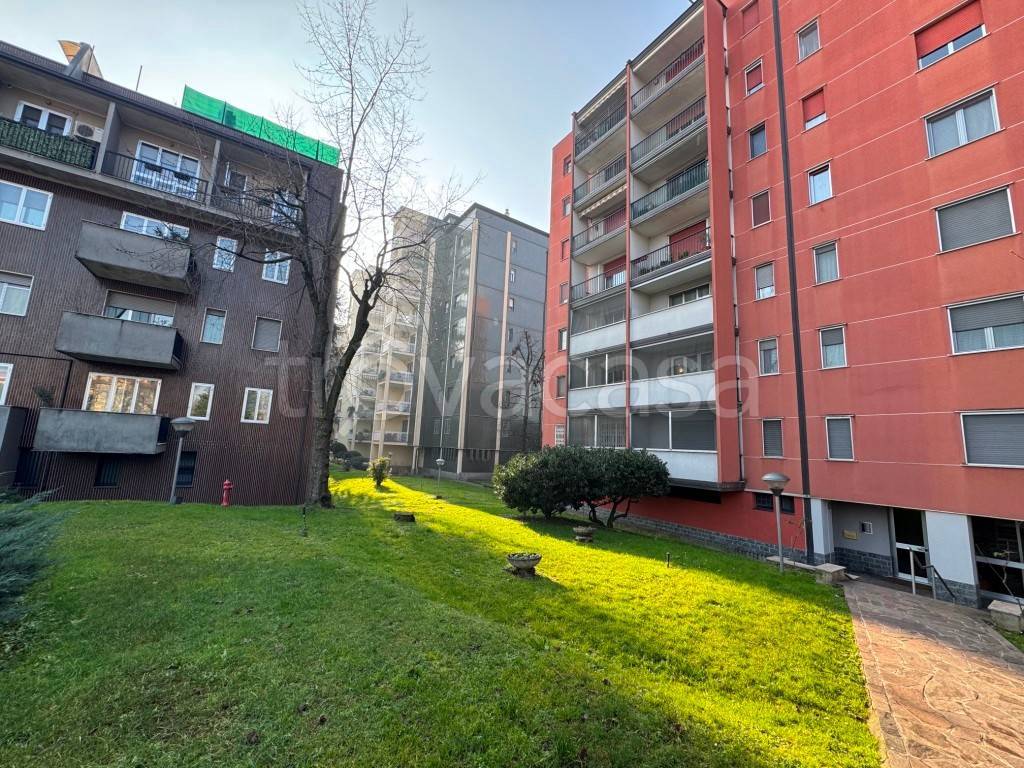 immagine annuncio 6 di 15