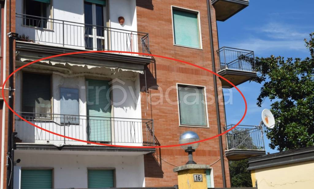 immagine annuncio 1 di 13