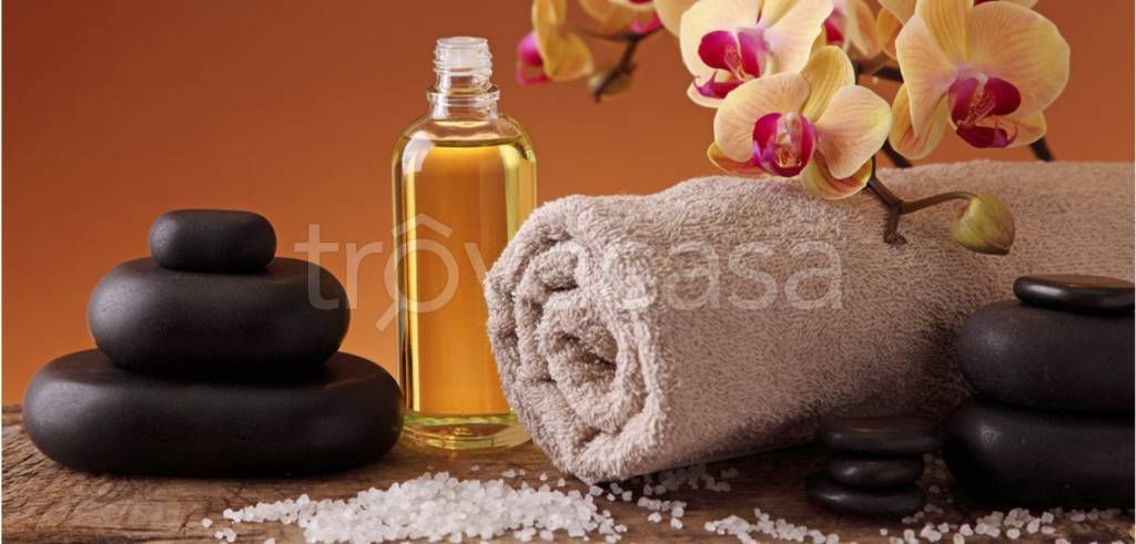 immagine annuncio 1 di 6