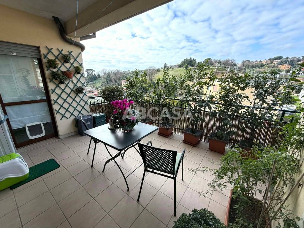 immagine annuncio 6 di 12