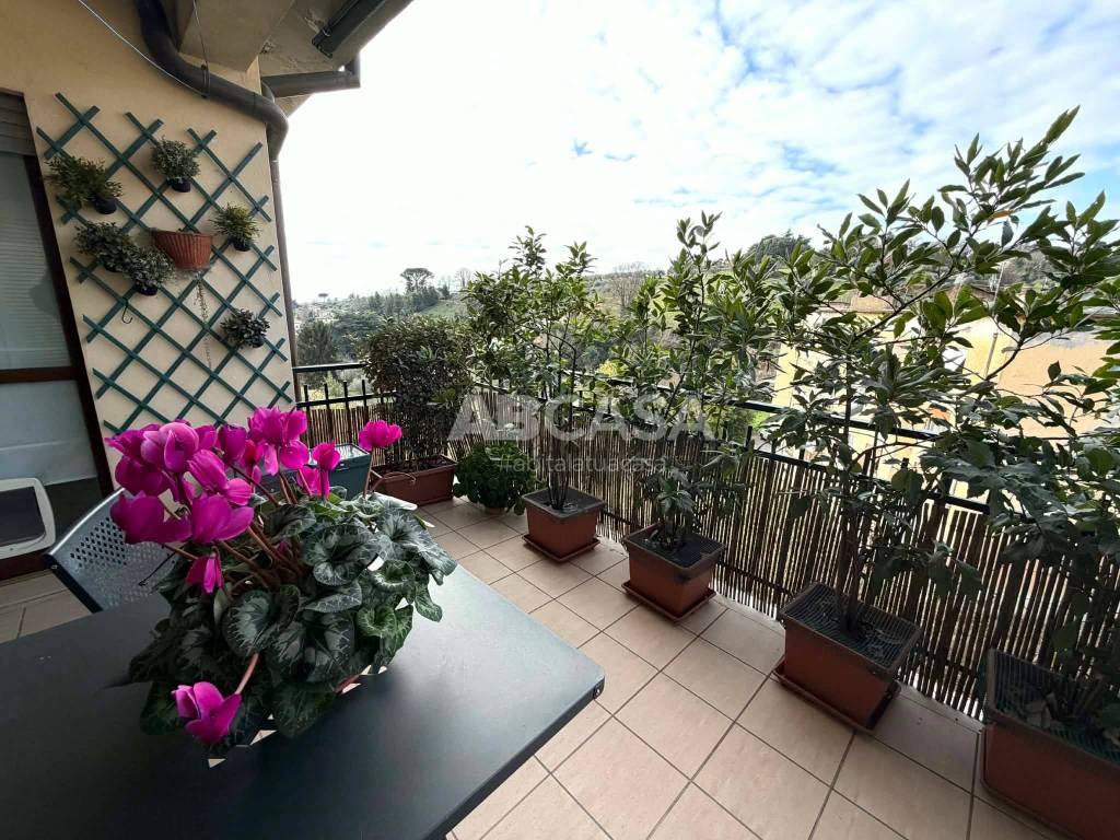 immagine annuncio 4 di 12