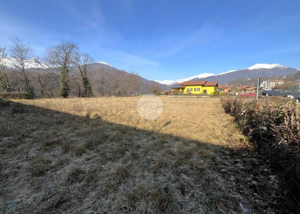 immagine annuncio 1 di 12