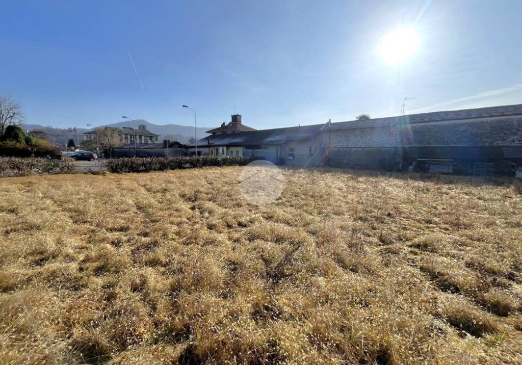 immagine annuncio 2 di 12