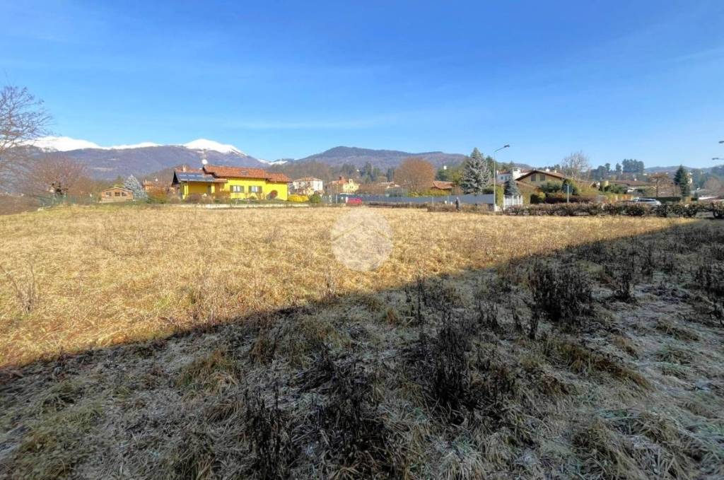 immagine annuncio 3 di 12