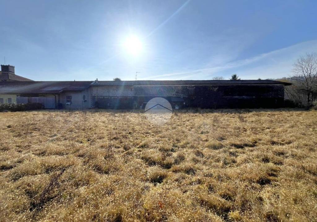 immagine annuncio 4 di 12