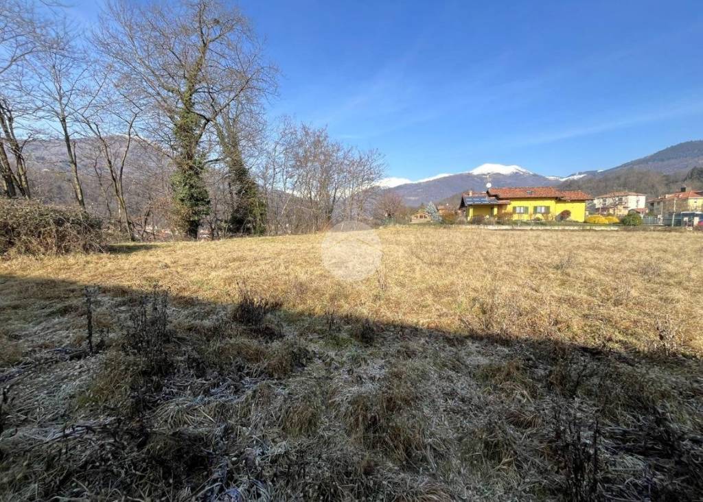 immagine annuncio 5 di 12