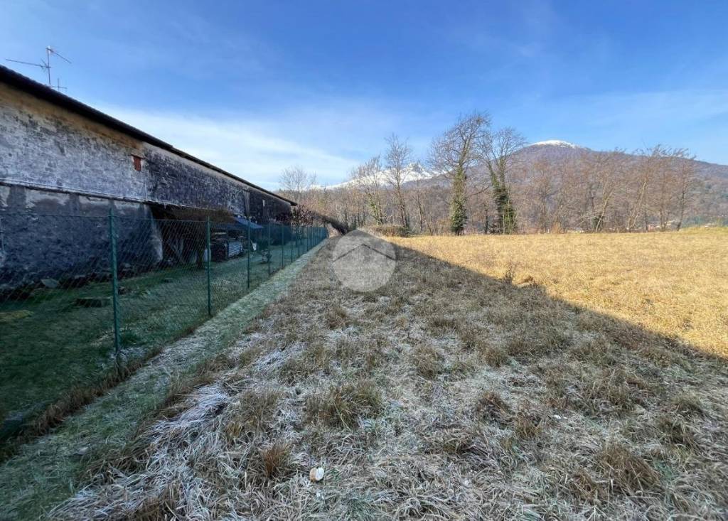 immagine annuncio 6 di 12