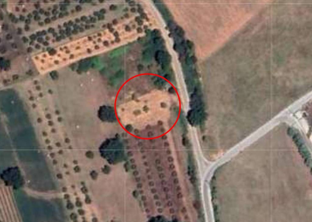 immagine annuncio 4 di 12