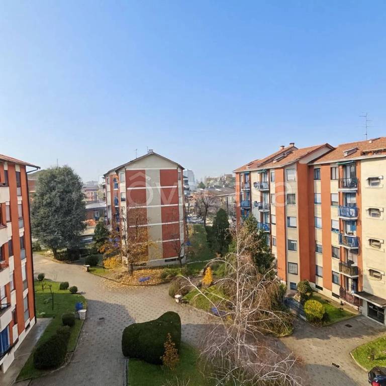 immagine annuncio 4 di 14