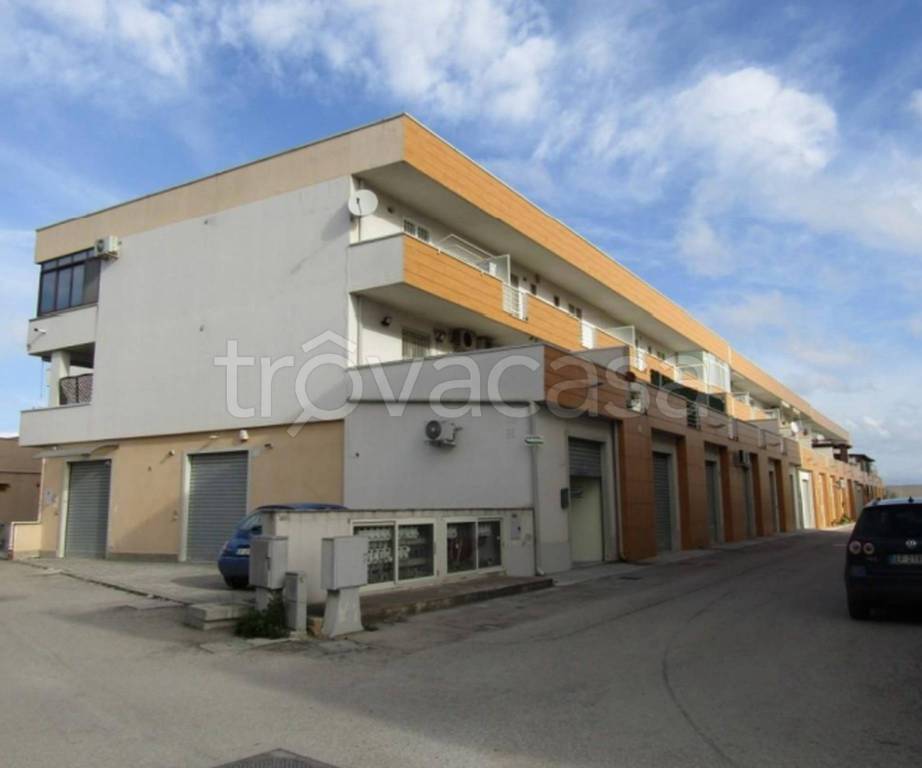 immagine annuncio 2 di 12