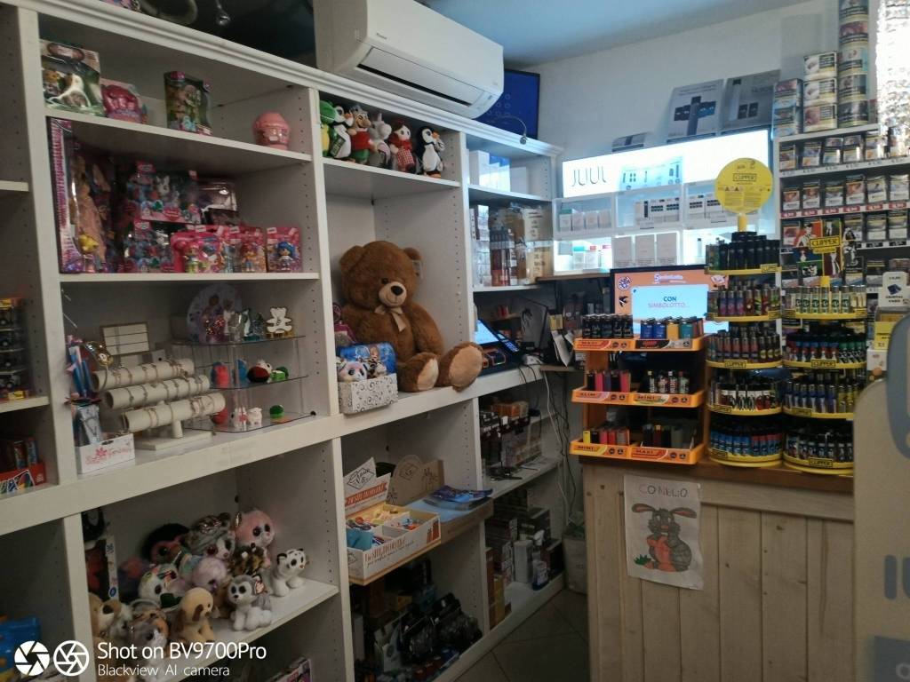 immagine annuncio 10 di 15