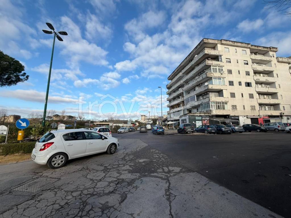 immagine annuncio 9 di 13