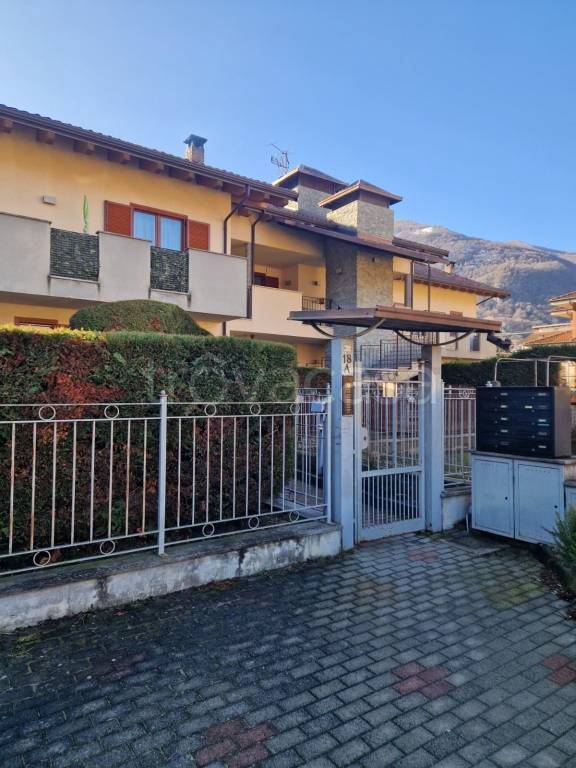 immagine annuncio 1 di 15