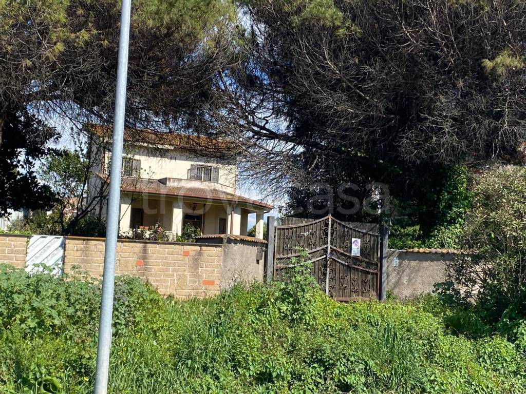 immagine annuncio 6 di 7