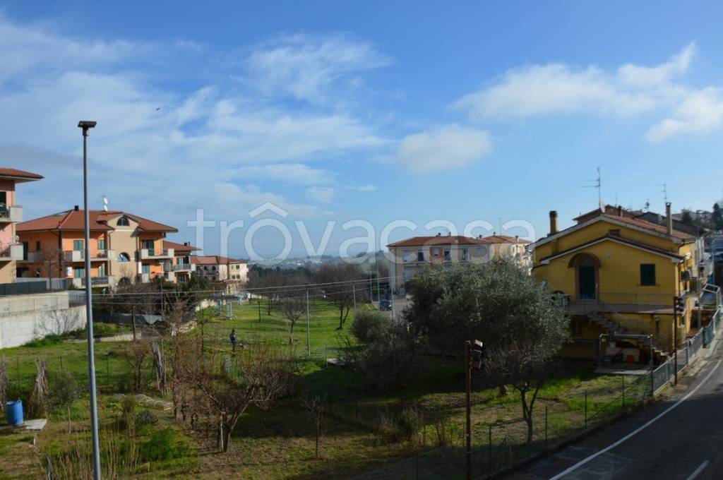 immagine annuncio 9 di 13