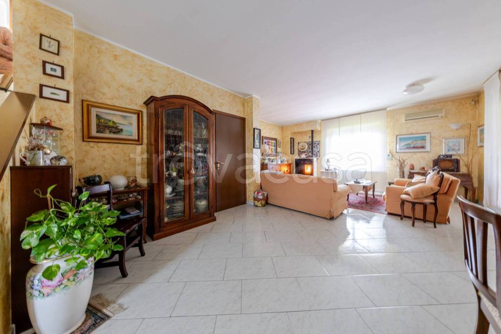 immagine annuncio 9 di 15