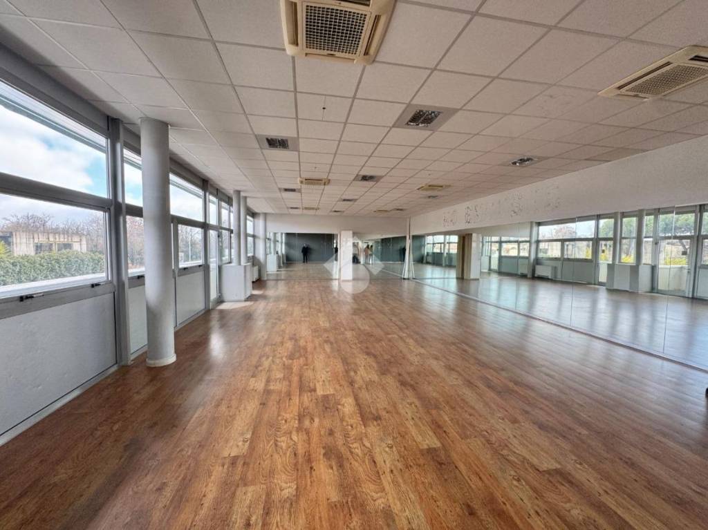 immagine annuncio 5 di 14