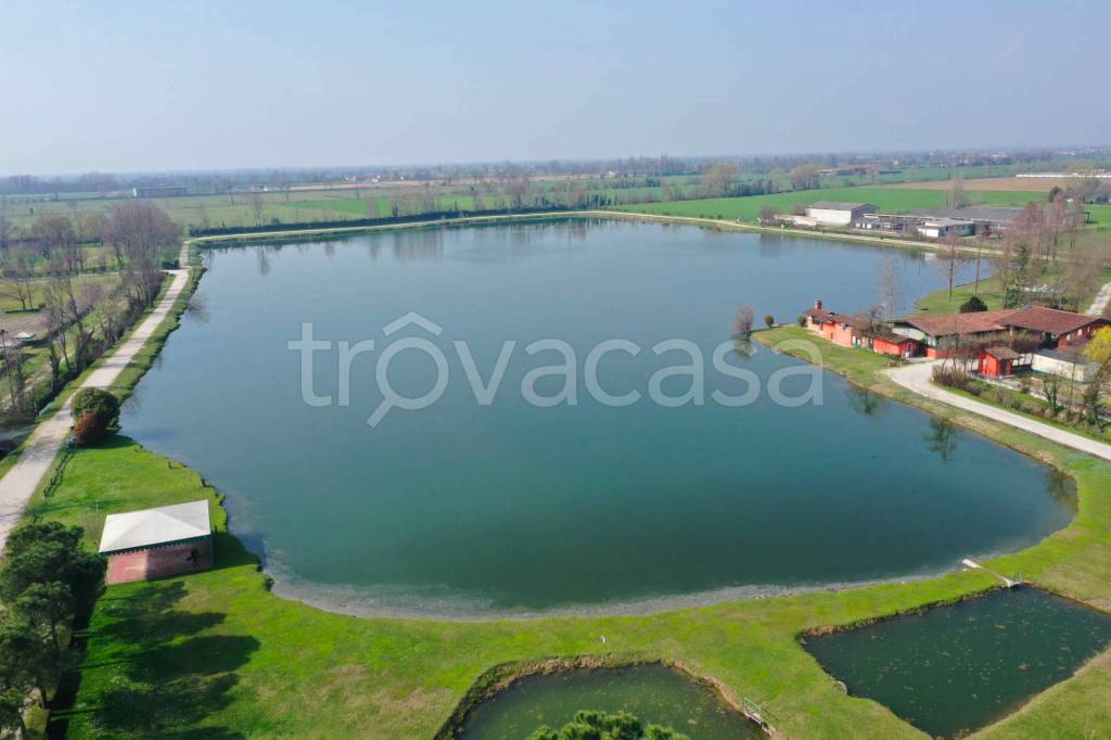 immagine annuncio 11 di 13