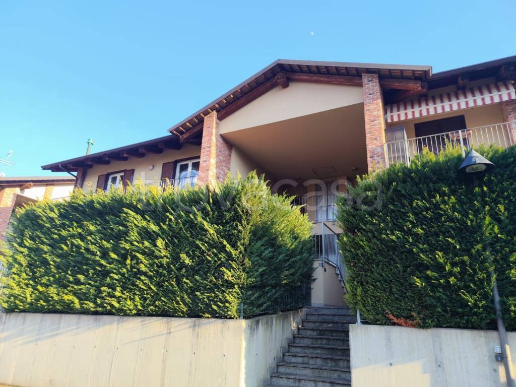 immagine annuncio 1 di 14