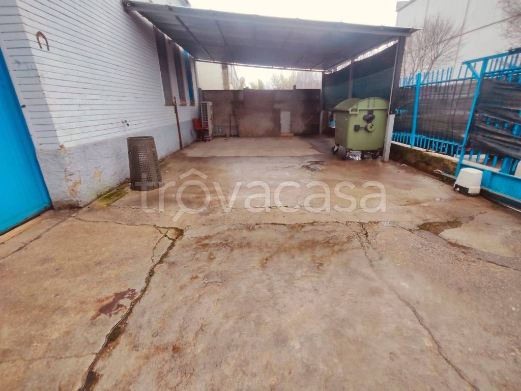 immagine annuncio 4 di 8