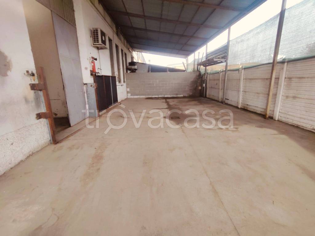 immagine annuncio 6 di 8