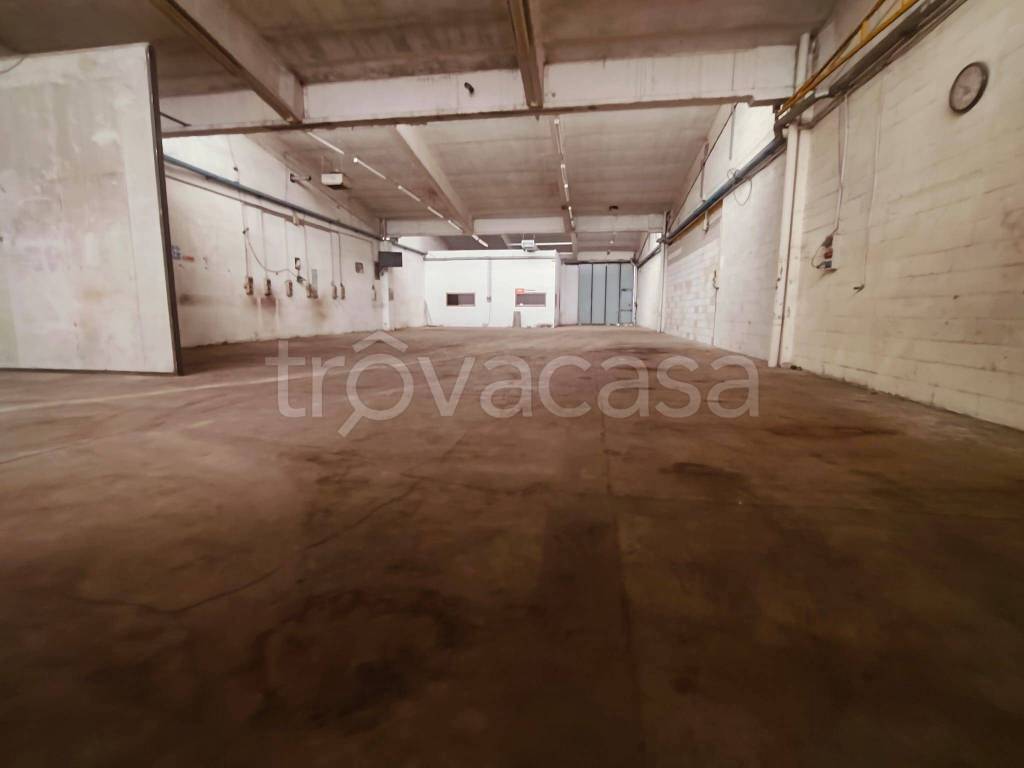 immagine annuncio 1 di 8