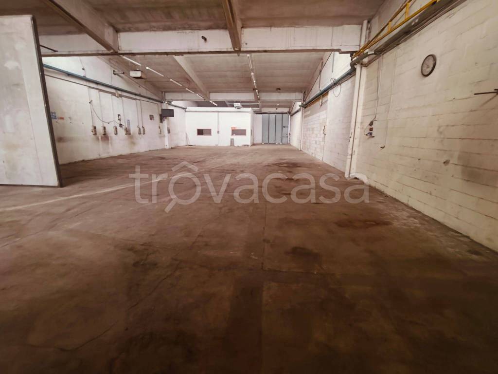 immagine annuncio 2 di 8