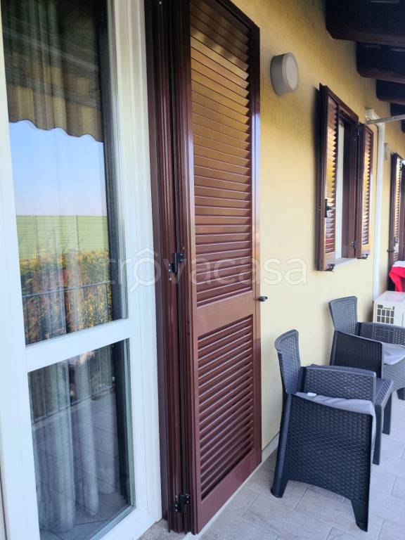 immagine annuncio 12 di 14