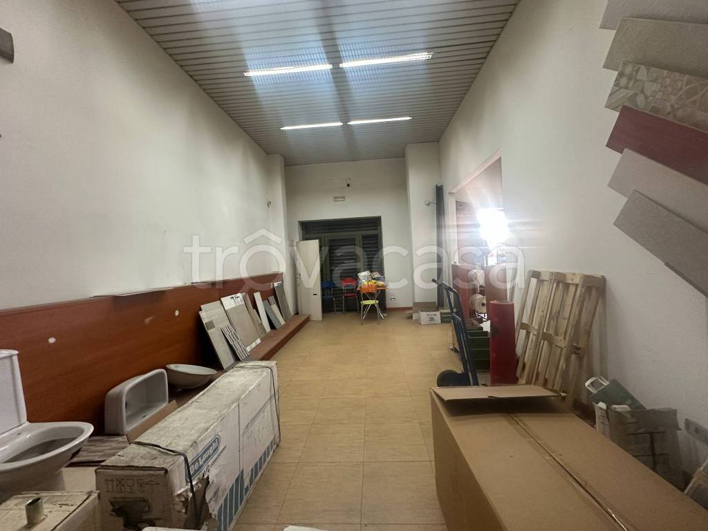 immagine annuncio 11 di 14