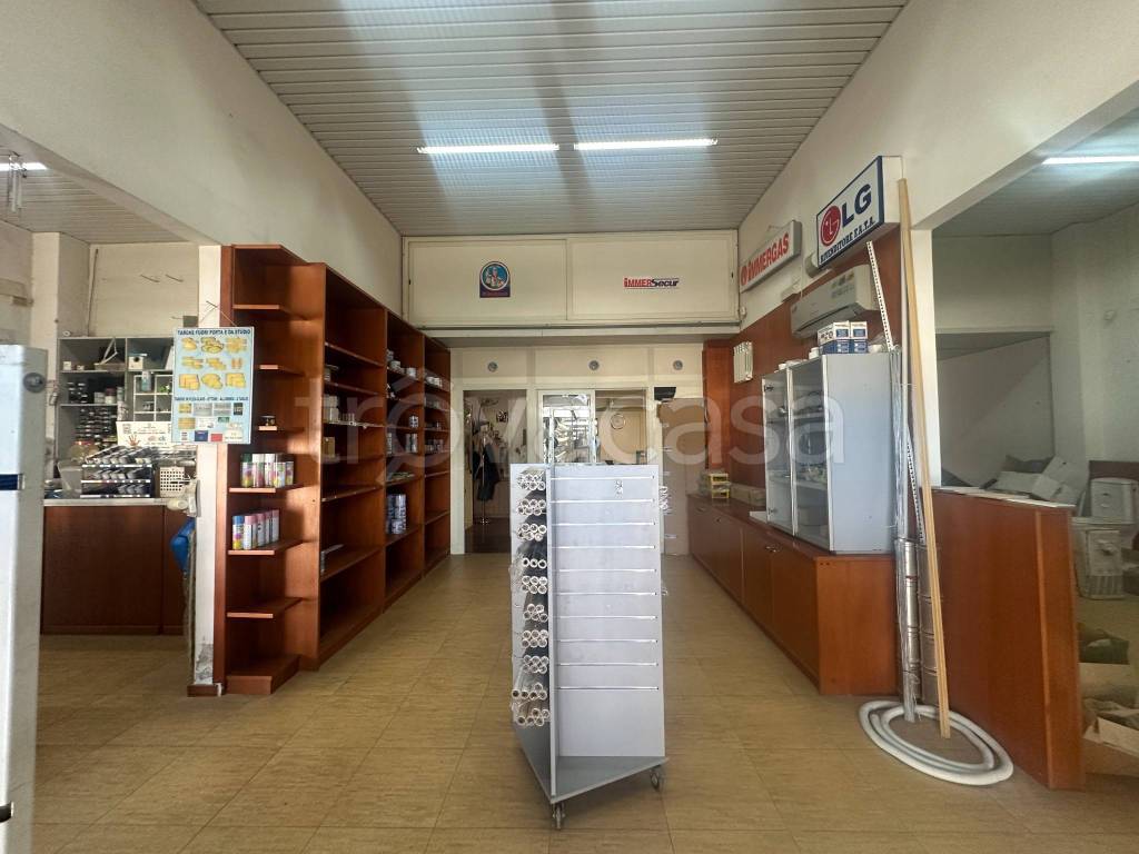 immagine annuncio 9 di 14