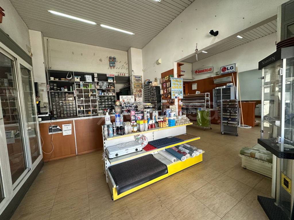 immagine annuncio 4 di 14