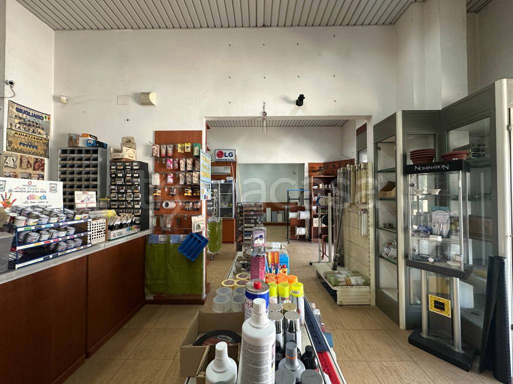 immagine annuncio 3 di 14