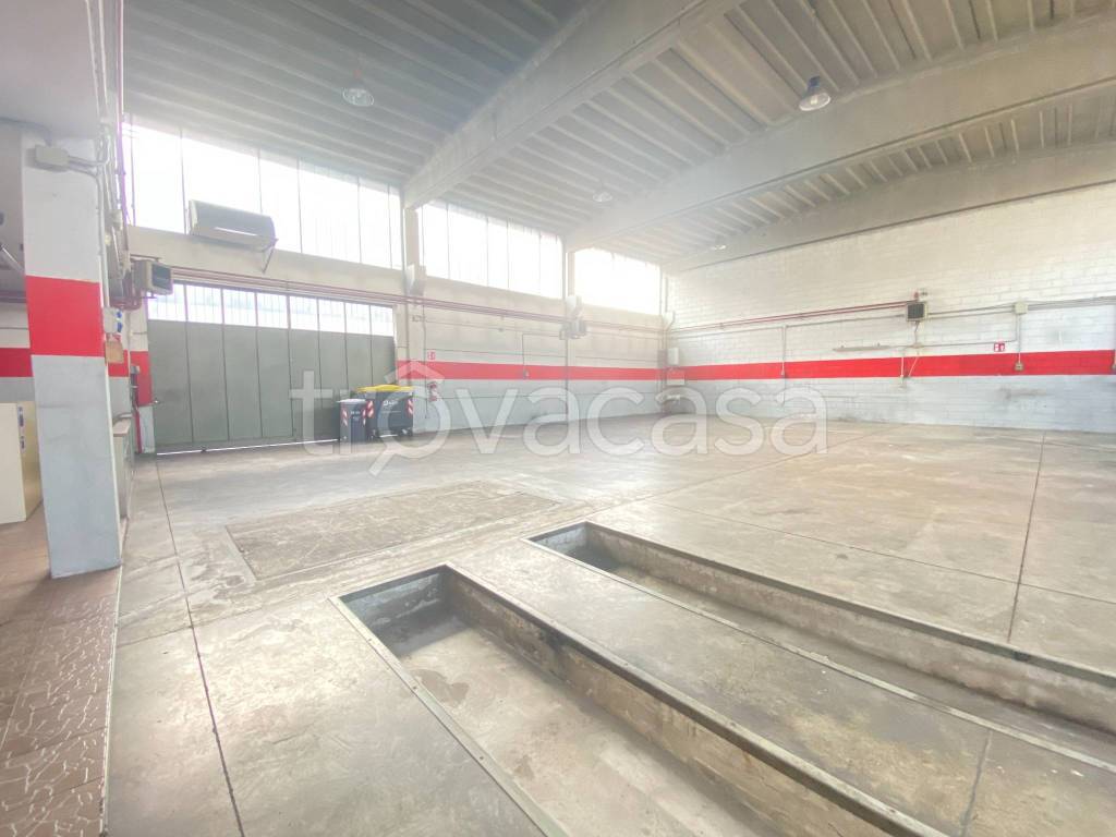 immagine annuncio 4 di 15