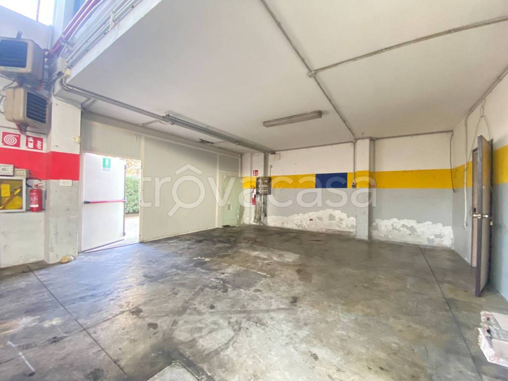 immagine annuncio 12 di 15