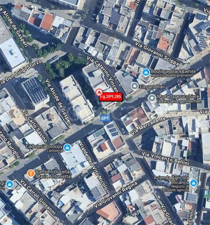 immagine annuncio 2 di 12