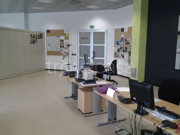 immagine annuncio 2 di 6