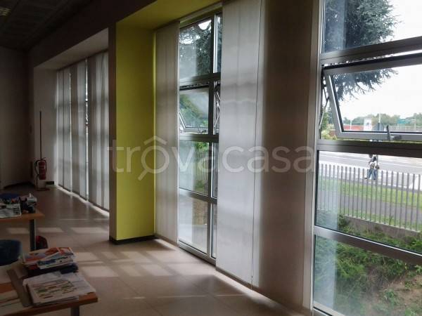 immagine annuncio 3 di 6