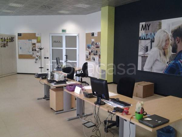 immagine annuncio 4 di 6