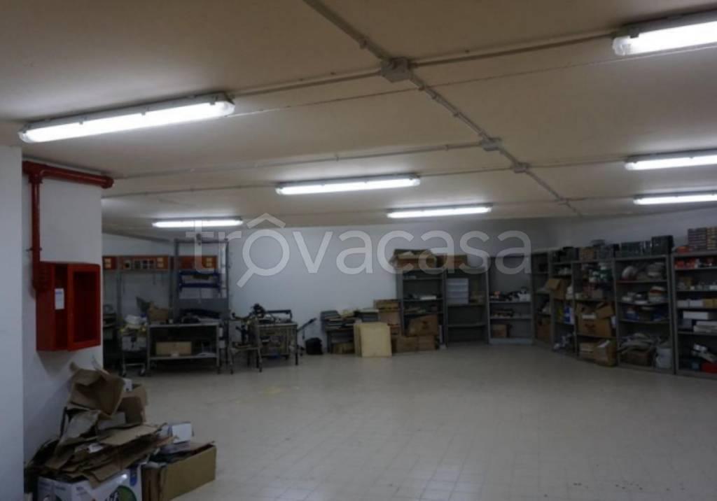 immagine annuncio 4 di 11