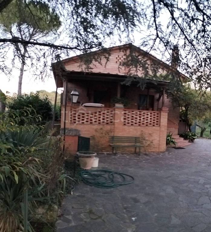 immagine annuncio 5 di 7