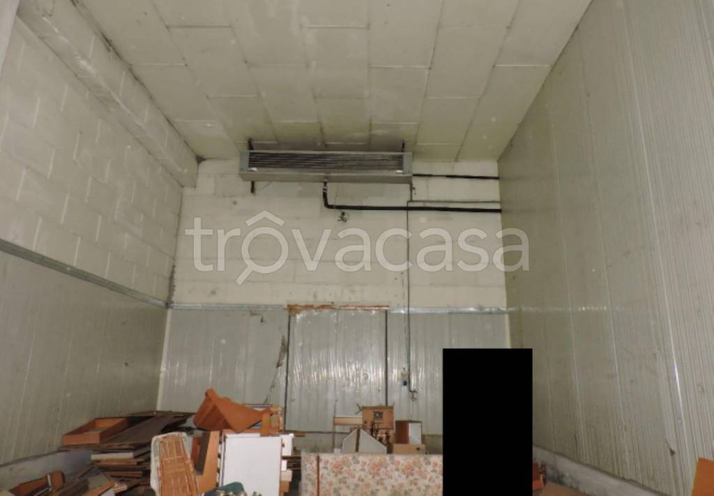 immagine annuncio 8 di 11