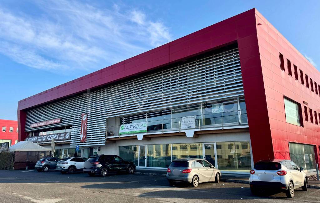 immagine annuncio 9 di 15