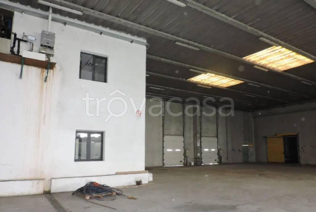 immagine annuncio 4 di 11