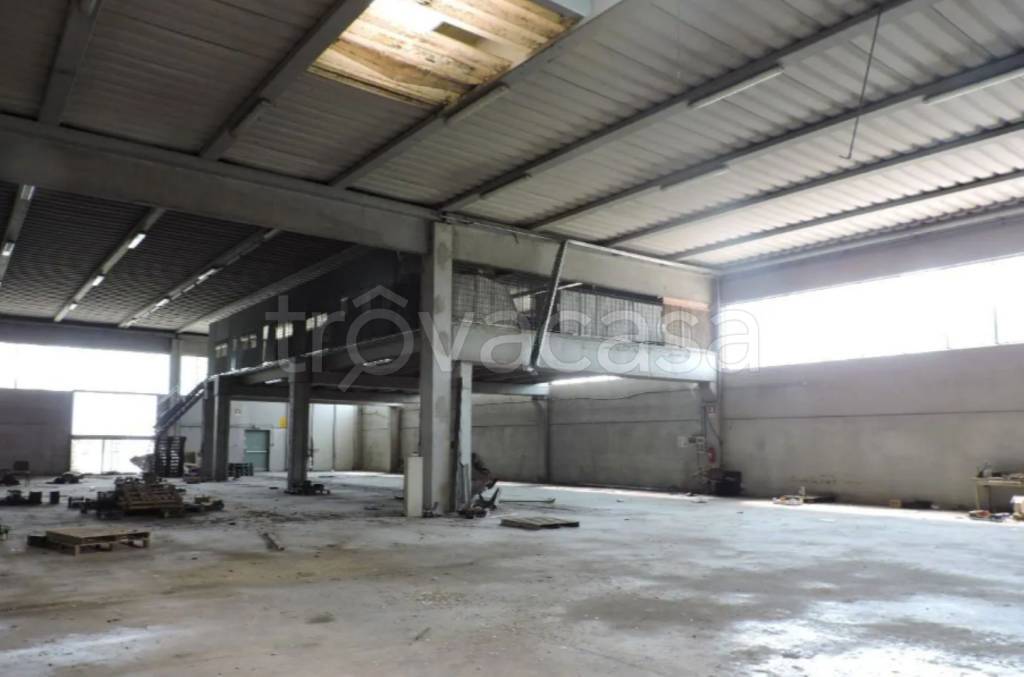 immagine annuncio 6 di 11