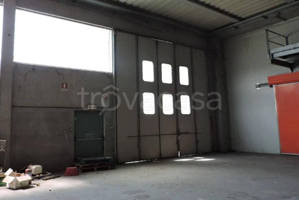 immagine annuncio 7 di 11