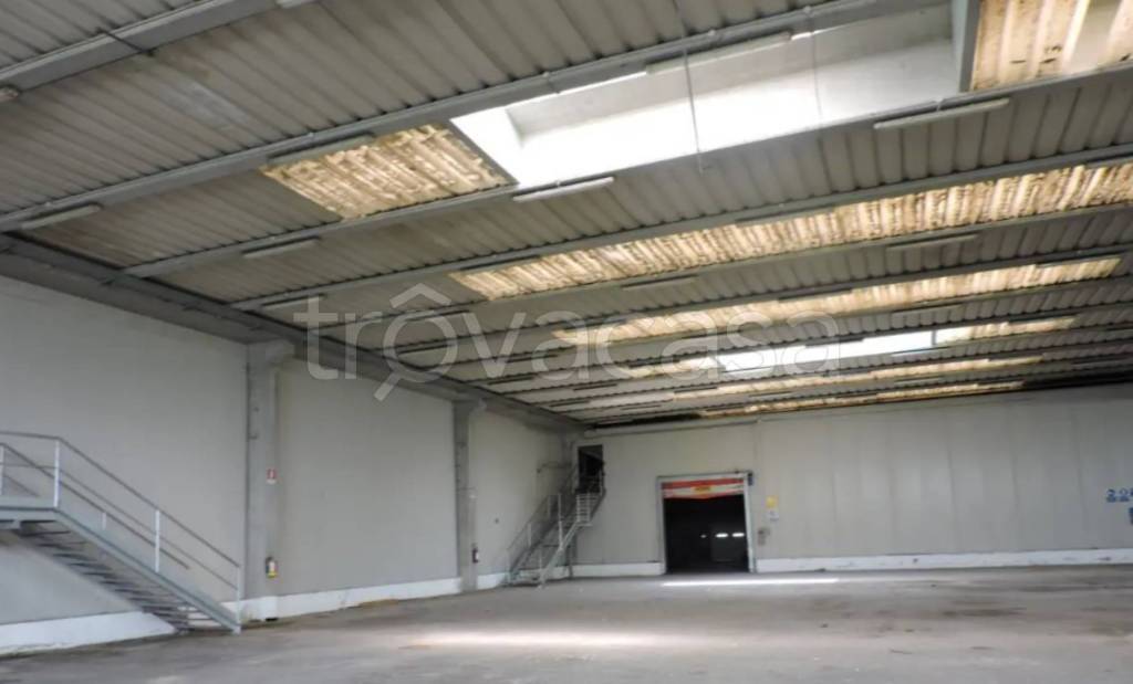 immagine annuncio 9 di 11