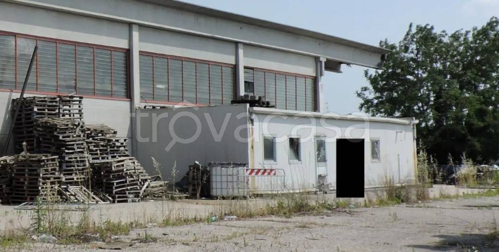 immagine annuncio 1 di 11