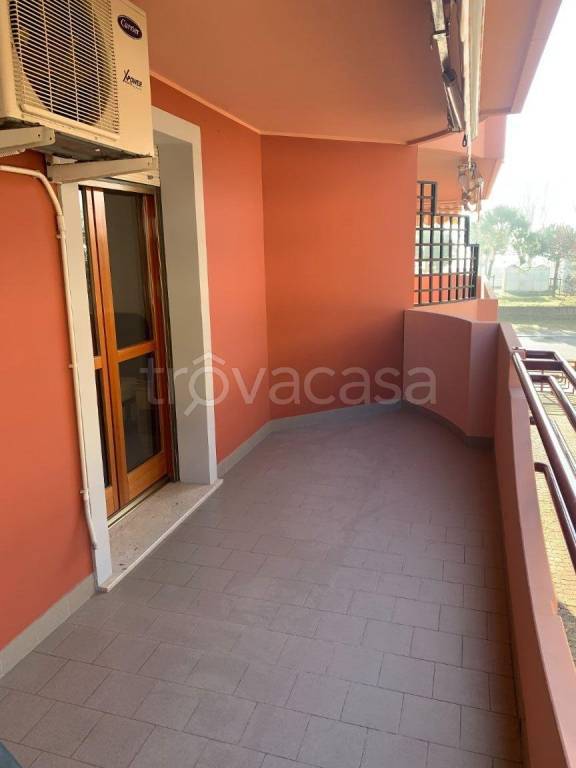 immagine annuncio 3 di 14